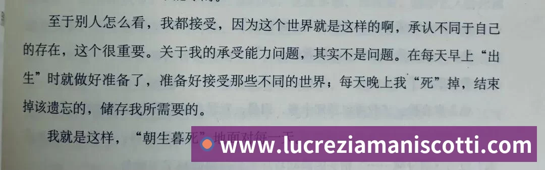 金年会体育品牌故事